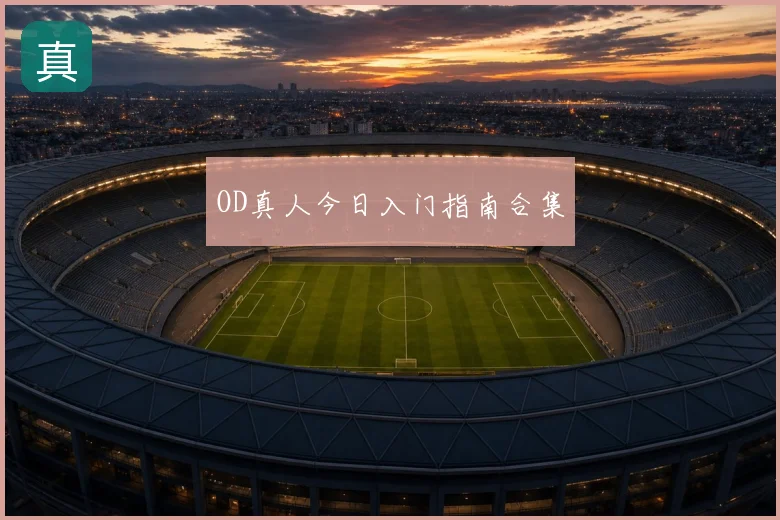OD真人今日入门指南合集