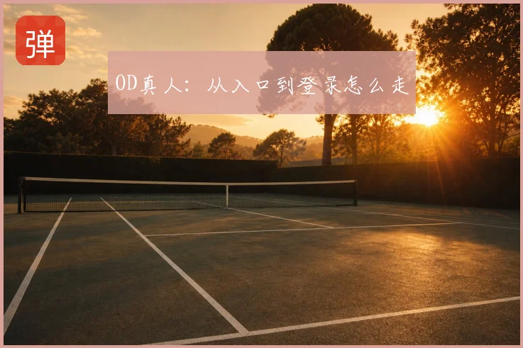OD真人：从入口到登录怎么走