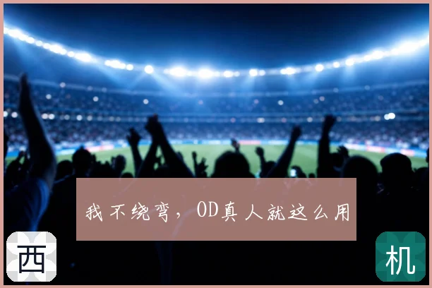 我不绕弯，OD真人就这么用