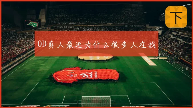 OD真人最近为什么很多人在找